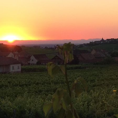Gite Le Mandle Riquewihr Kültér fotó