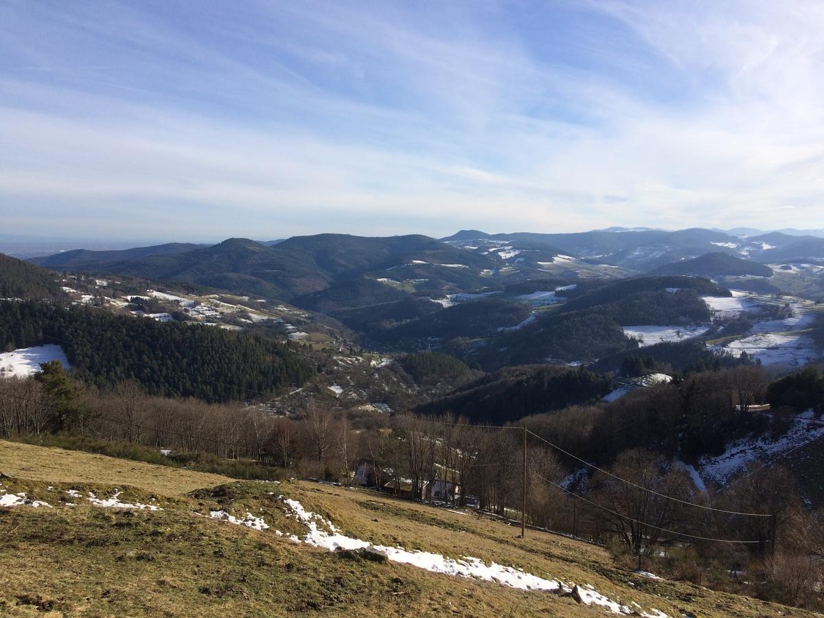 Gite Le Mandle Riquewihr Kültér fotó